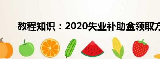 教程知识：2020失业补助金领取方法