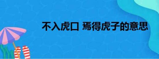 不入虎口 焉得虎子的意思