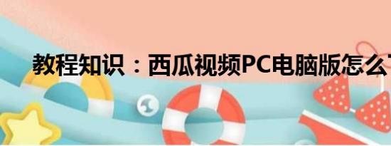 教程知识：西瓜视频PC电脑版怎么下载