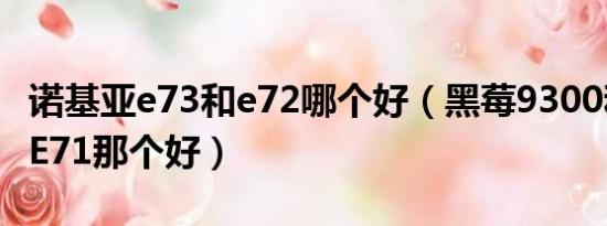 诺基亚e73和e72哪个好（黑莓9300和诺基亚E71那个好）