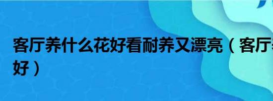 客厅养什么花好看耐养又漂亮（客厅养什么花好）