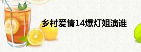 乡村爱情14爆灯姐演谁