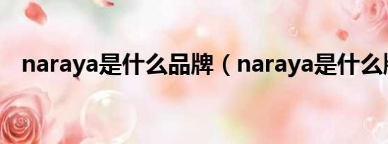 naraya是什么品牌（naraya是什么牌子）