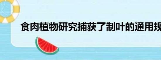 食肉植物研究捕获了制叶的通用规则