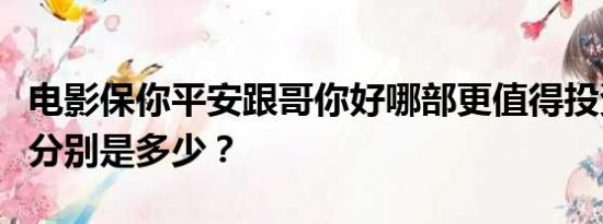 电影保你平安跟哥你好哪部更值得投资？成本分别是多少？