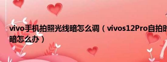 vivo手机拍照光线暗怎么调（vivos12Pro自拍时候光线太暗怎么办）