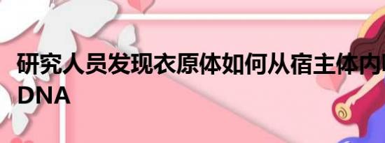 研究人员发现衣原体如何从宿主体内吸收新的DNA