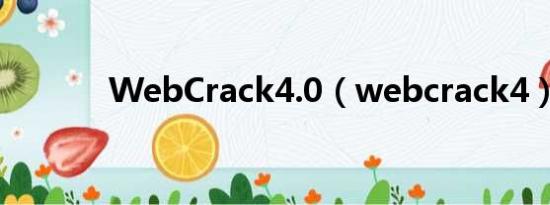 WebCrack4.0（webcrack4）