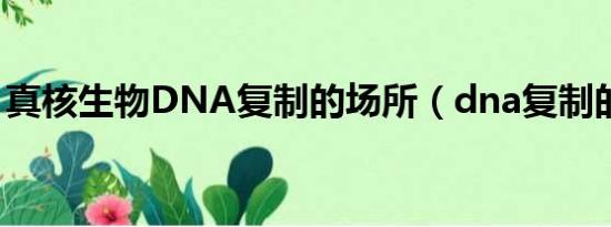 真核生物DNA复制的场所（dna复制的场所）