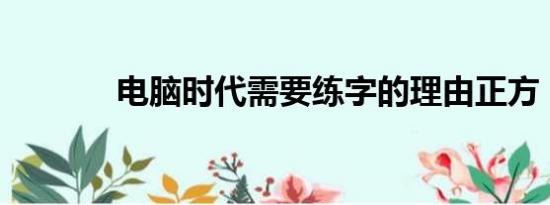 电脑时代需要练字的理由正方