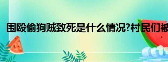 围殴偷狗贼致死是什么情况?村民们被判刑?