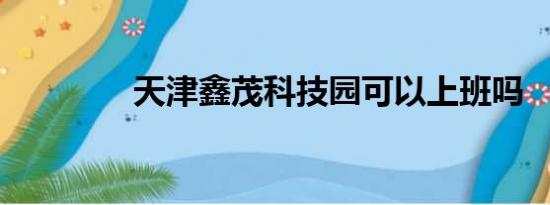 天津鑫茂科技园可以上班吗