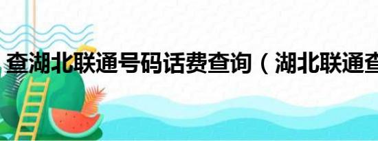 查湖北联通号码话费查询（湖北联通查话费）