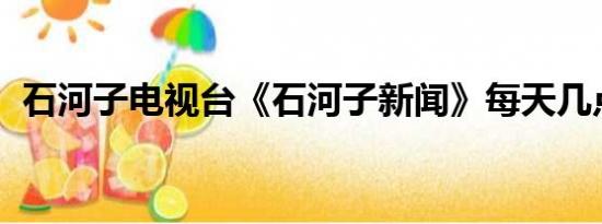 石河子电视台《石河子新闻》每天几点播出