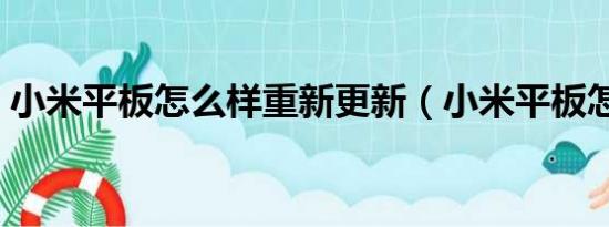 小米平板怎么样重新更新（小米平板怎么样）