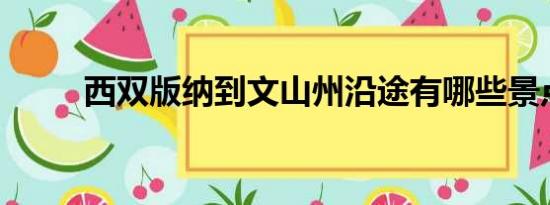 西双版纳到文山州沿途有哪些景点