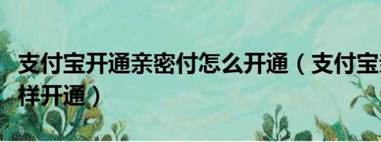 支付宝开通亲密付怎么开通（支付宝亲密付怎样开通）