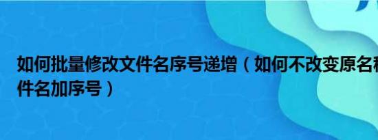 如何批量修改文件名序号递增（如何不改变原名称批量给文件名加序号）