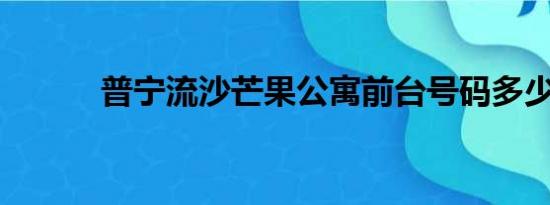 普宁流沙芒果公寓前台号码多少