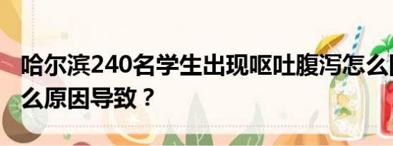 哈尔滨240名学生出现呕吐腹泻怎么回事？什么原因导致？