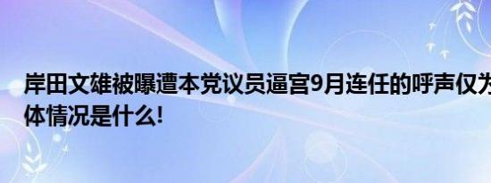 岸田文雄被曝遭本党议员逼宫9月连任的呼声仅为10.4% 具体情况是什么!