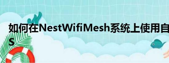 如何在NestWifiMesh系统上使用自定义DNS