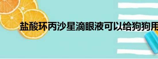 盐酸环丙沙星滴眼液可以给狗狗用么