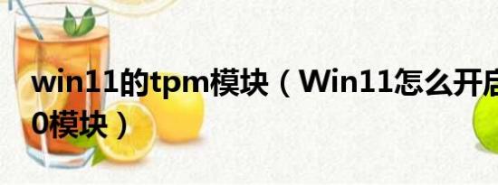 win11的tpm模块（Win11怎么开启TPM2.0模块）