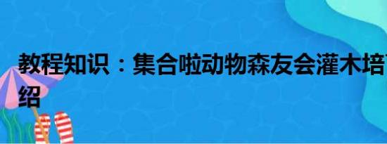 教程知识：集合啦动物森友会灌木培育攻略介绍