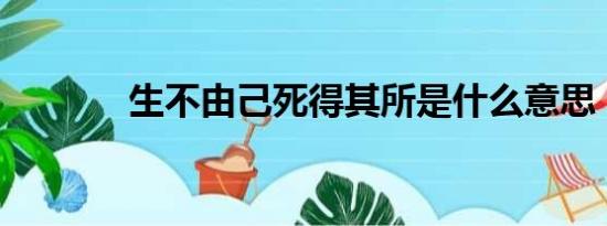 生不由己死得其所是什么意思