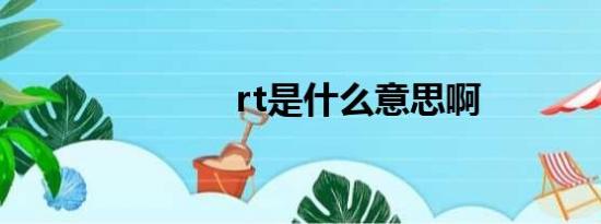 rt是什么意思啊