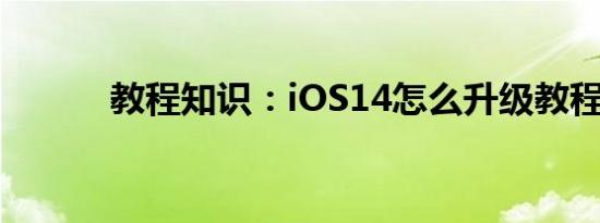 教程知识：iOS14怎么升级教程