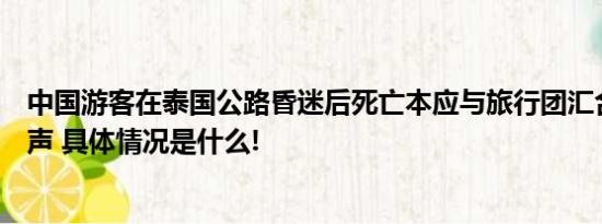 中国游客在泰国公路昏迷后死亡本应与旅行团汇合目击者发声 具体情况是什么!