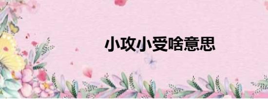 小攻小受啥意思