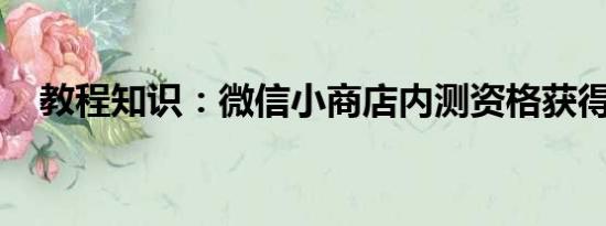 教程知识：微信小商店内测资格获得教程