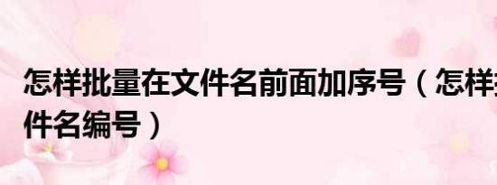 怎样批量在文件名前面加序号（怎样批量给文件名编号）