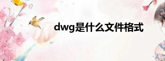 dwg是什么文件格式