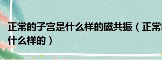 正常的子宫是什么样的磁共振（正常的子宫是什么样的）