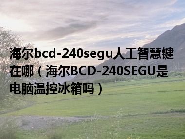 海尔bcd-240segu人工智慧键在哪（海尔BCD-240SEGU是电脑温控冰箱吗）