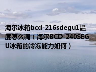 海尔冰箱bcd-216sdegu1温度怎么调（海尔BCD-240SEGU冰箱的冷冻能力如何）