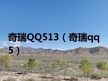 奇瑞QQ513（奇瑞qq5）