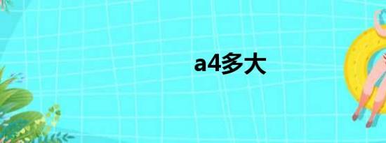 a4多大