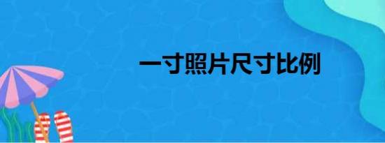 一寸照片尺寸比例