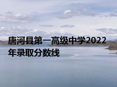 唐河县第一高级中学2022年录取分数线