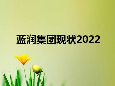 蓝润集团现状2022