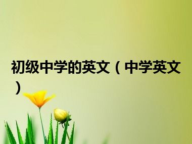 初级中学的英文（中学英文）