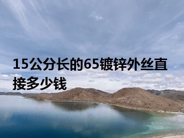 15公分长的65镀锌外丝直接多少钱