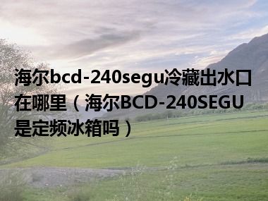 海尔bcd-240segu冷藏出水口在哪里（海尔BCD-240SEGU是定频冰箱吗）