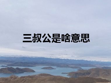 三叔公是啥意思