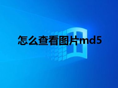 怎么查看图片md5